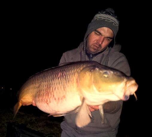 Hermes Peris 21 - 22 mar. - bau-bau-3.jpg